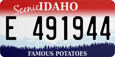 ID license plate E491944