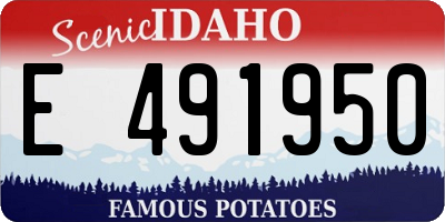 ID license plate E491950