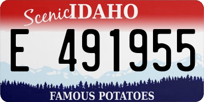 ID license plate E491955