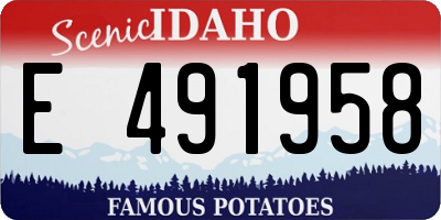 ID license plate E491958