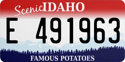 ID license plate E491963