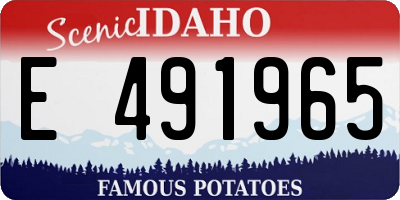 ID license plate E491965