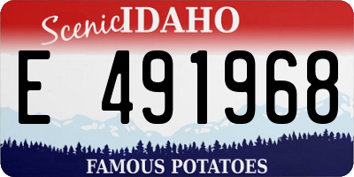 ID license plate E491968