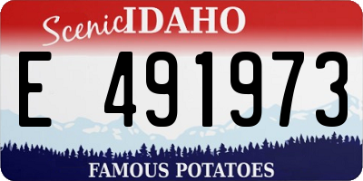 ID license plate E491973