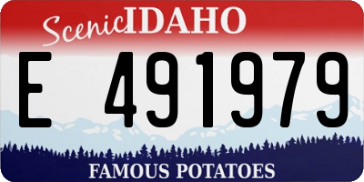 ID license plate E491979