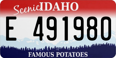 ID license plate E491980