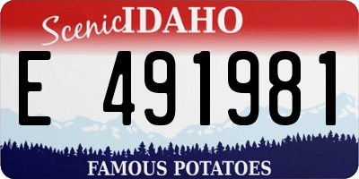 ID license plate E491981