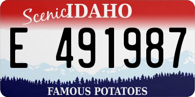 ID license plate E491987