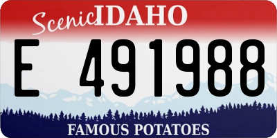 ID license plate E491988