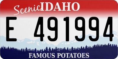 ID license plate E491994