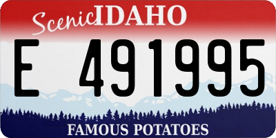 ID license plate E491995