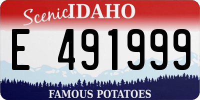 ID license plate E491999