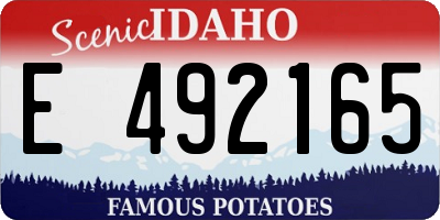ID license plate E492165