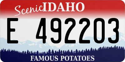 ID license plate E492203