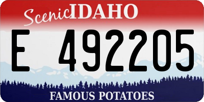 ID license plate E492205