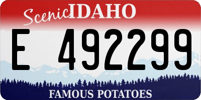 ID license plate E492299