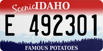 ID license plate E492301