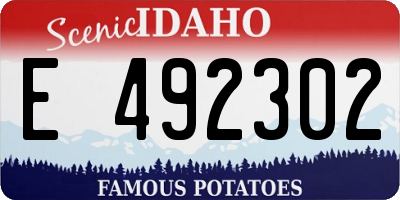 ID license plate E492302