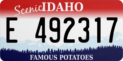 ID license plate E492317