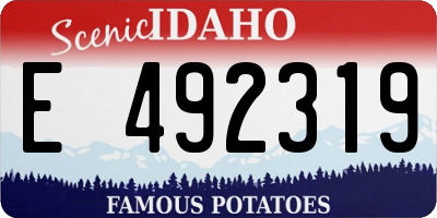 ID license plate E492319