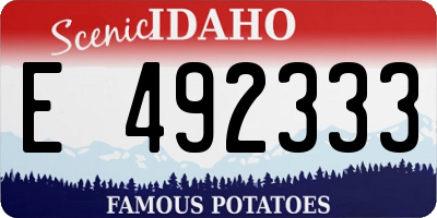 ID license plate E492333