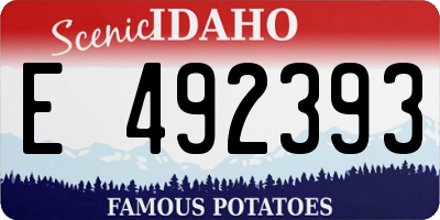 ID license plate E492393