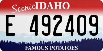 ID license plate E492409