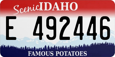 ID license plate E492446