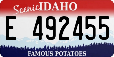 ID license plate E492455