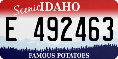 ID license plate E492463