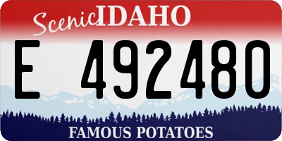 ID license plate E492480