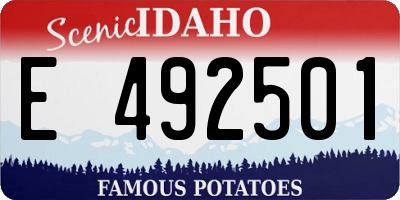 ID license plate E492501