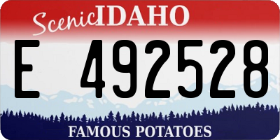 ID license plate E492528