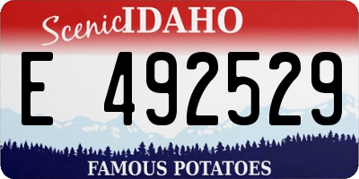 ID license plate E492529