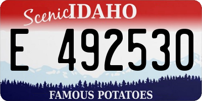 ID license plate E492530