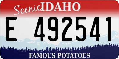 ID license plate E492541