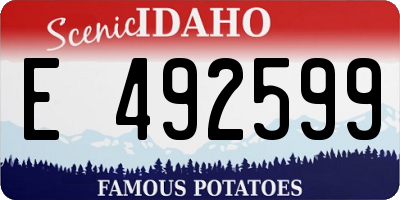 ID license plate E492599