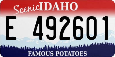 ID license plate E492601