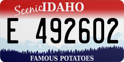 ID license plate E492602