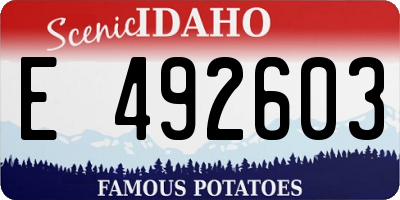 ID license plate E492603