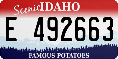 ID license plate E492663