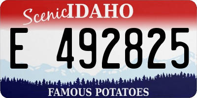 ID license plate E492825