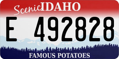 ID license plate E492828