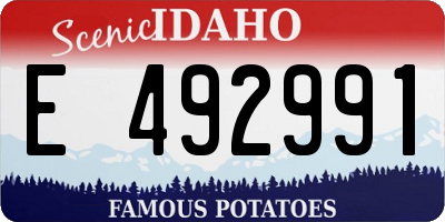 ID license plate E492991