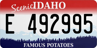ID license plate E492995