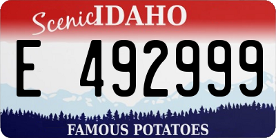 ID license plate E492999