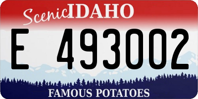 ID license plate E493002