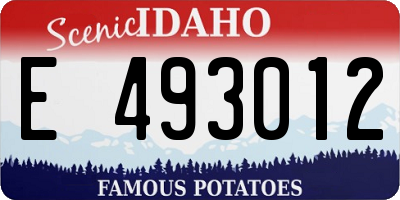 ID license plate E493012