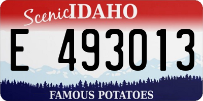 ID license plate E493013