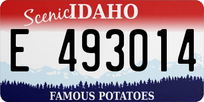 ID license plate E493014